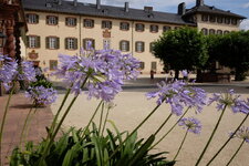 DSCF1530.JPG DSCF1530.JPG