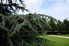 DSCF1546.JPG DSCF1546.JPG