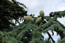 DSCF1547.JPG DSCF1547.JPG