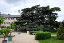 DSCF1549.JPG DSCF1549.JPG