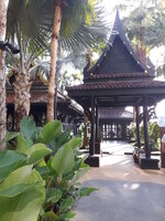 20160424_112244.jpg