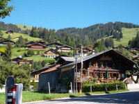 26441654cq.jpg