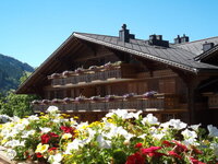 26447919bl.jpg