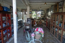 DSC01454.JPG