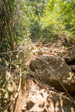20130409-P4090555.jpg