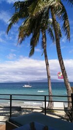 IMG_20160226_111901.jpg