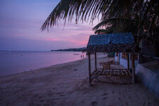 20130408-P4080471.jpg