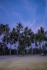 20130408-P4080480.jpg