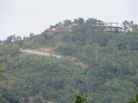 IMG_6383.JPG