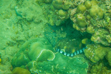 20130416-DSCN1021-2.jpg