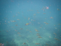 20130416-DSCN1001.jpg