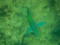 20130416-DSCN1209.jpg