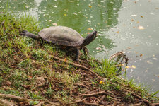 20130424-P4242960.jpg