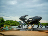 DSCN0865 (1).jpg