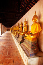 P3253140-2.jpg