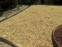 IMG_3038.jpg