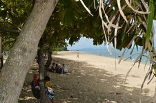 DSC_0047.JPG DSC_0047.JPG