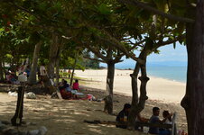 DSC_0049.JPG DSC_0049.JPG