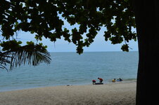 DSC_0062.JPG DSC_0062.JPG