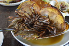 DSC_0068.JPG DSC_0068.JPG