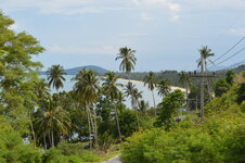 DSC_0076.JPG DSC_0076.JPG