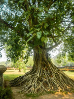 20130328-DSCN0374-2.jpg