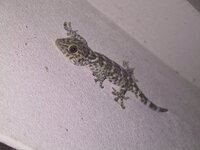 IMG_0451.jpg