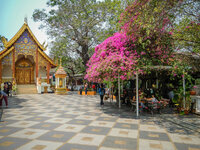 20130330-DSCN0404.jpg