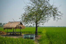 20130401-DSCN0443.jpg