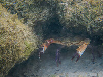 20130408-DSCN0652 (1).jpg