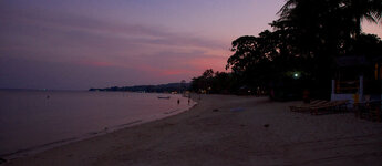 20130408-P4080472-2.jpg