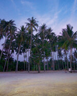 20130408-P4080480-2.jpg