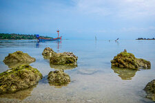 20130411-DSCN0749-2.jpg