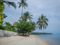 20130411-DSCN0752.jpg