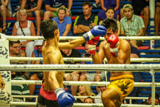 20130419-P4191925.jpg