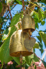 20130420-P4202100.jpg