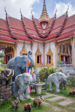 20130420-P4202209.jpg