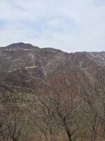 IMG_0690.JPG IMG_0690.JPG