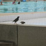 img_2092.jpg img_2092.jpg