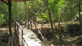 mekong7.jpg