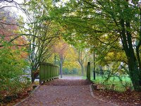 derweg.jpg