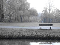 dsc00079.jpg