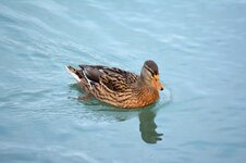 k-dsc_1316_011.jpg