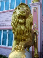 img_4398.jpg