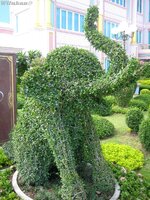 img_4401.jpg