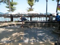 img_4460.jpg