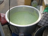 img_6374.jpg