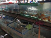 img_6929.jpg