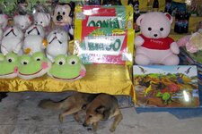 img_00291.jpg