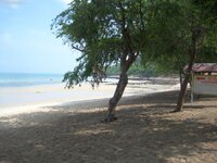 img_6289.jpg